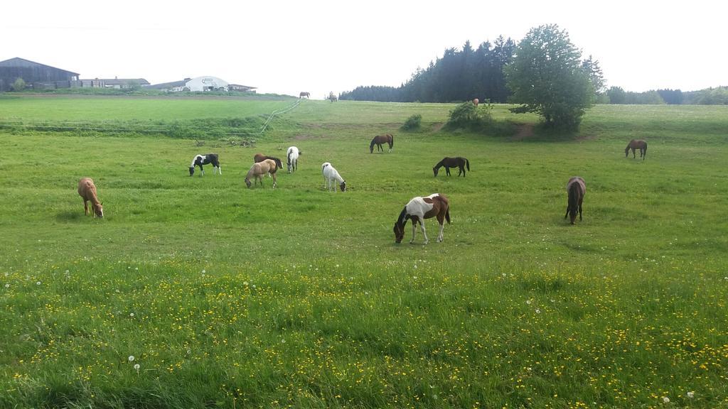 Hotel Q Ranch à Bezdekov  Extérieur photo